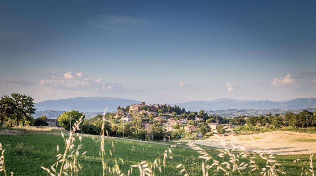 Bed and Breakfast Domus In Castro Montecchio  Экстерьер фото